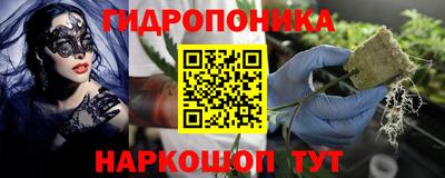 амф Донецк